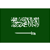 Saudi Arabia Division 1 2026/2027